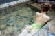 A woman in a green bathing suit sitting in a pool.